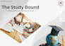 create modern powerpoint and google slides presentations